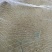 防鸟网聚乙烯尼龙网防鸟网果园鱼塘青蛙泥鳅专用防鸟遮鸟网
