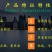 红太阳L7西红柿种子大红大果番茄,转色均匀,果型美观