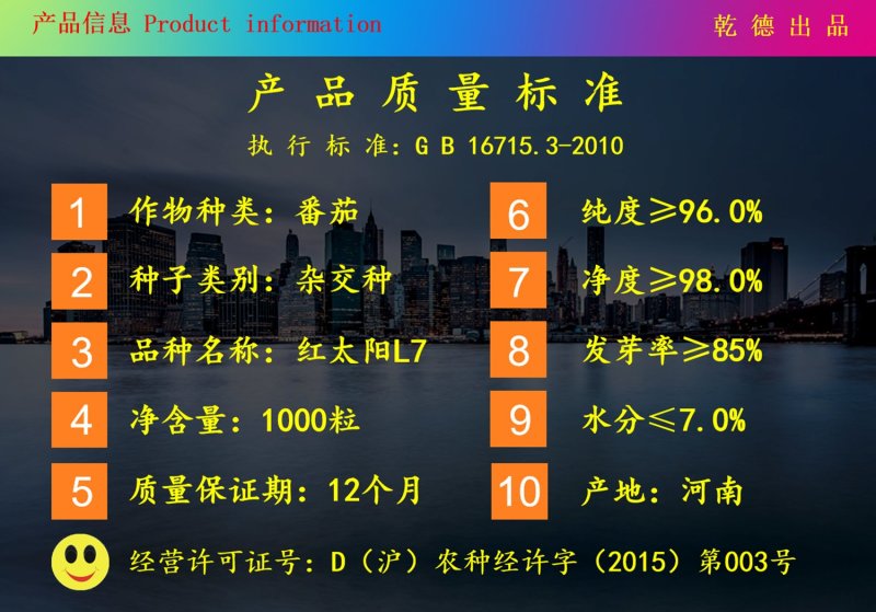 红太阳L7西红柿种子大红大果番茄，转色均匀，果型美观