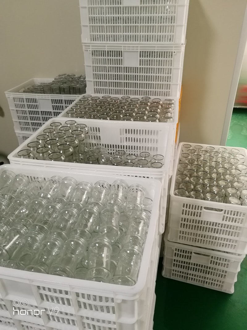 SC认证【云霄特产】正宗枇杷膏500g包邮【幼孕可食】