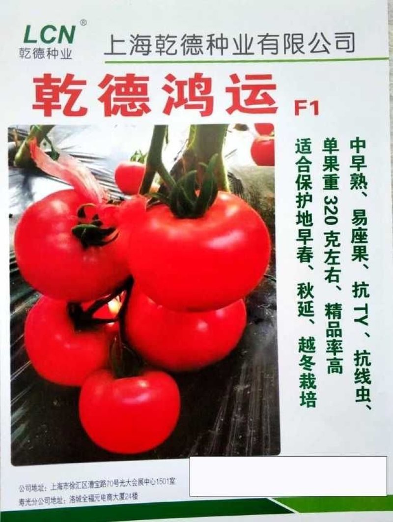 乾德鸿运抗TY中早熟粉果精品番茄，抗病高产，抗线虫