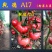 乾德A17抗TY粉果番茄粉果西红柿种子
