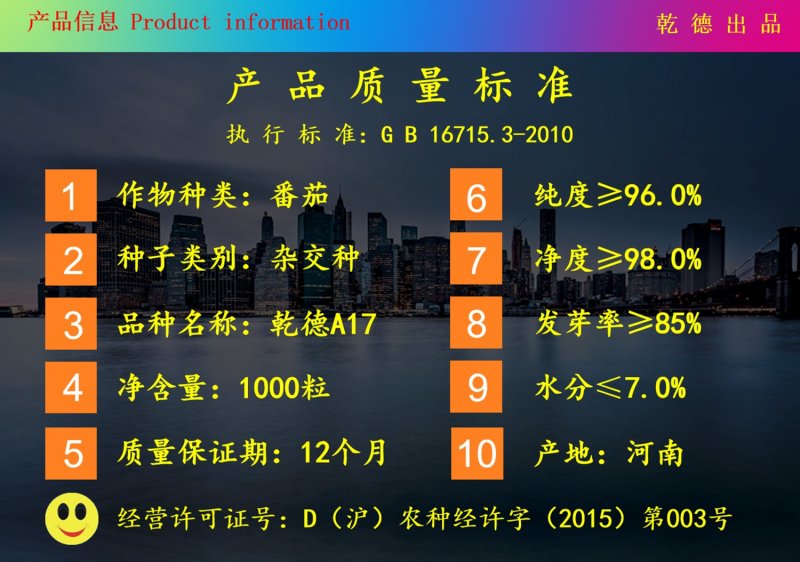 乾德A17抗TY粉果番茄粉果西红柿种子