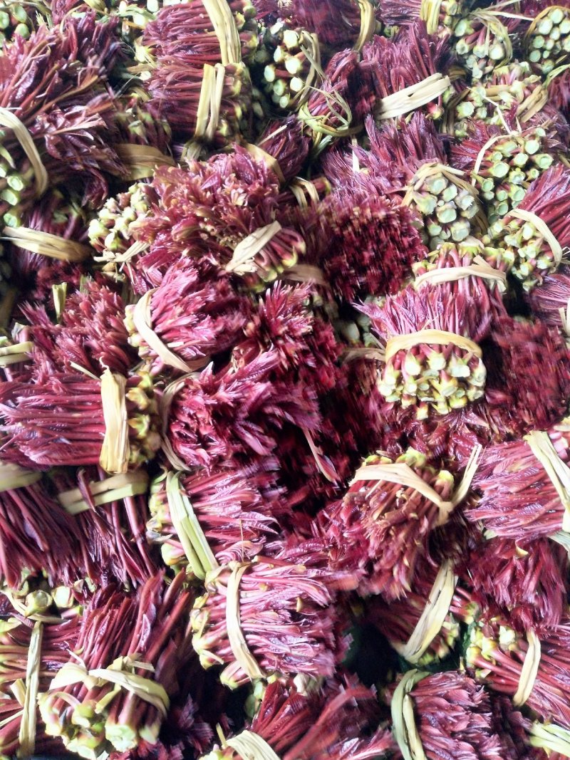 二郎红香椿芽，精品香椿芽，支持电商代发！