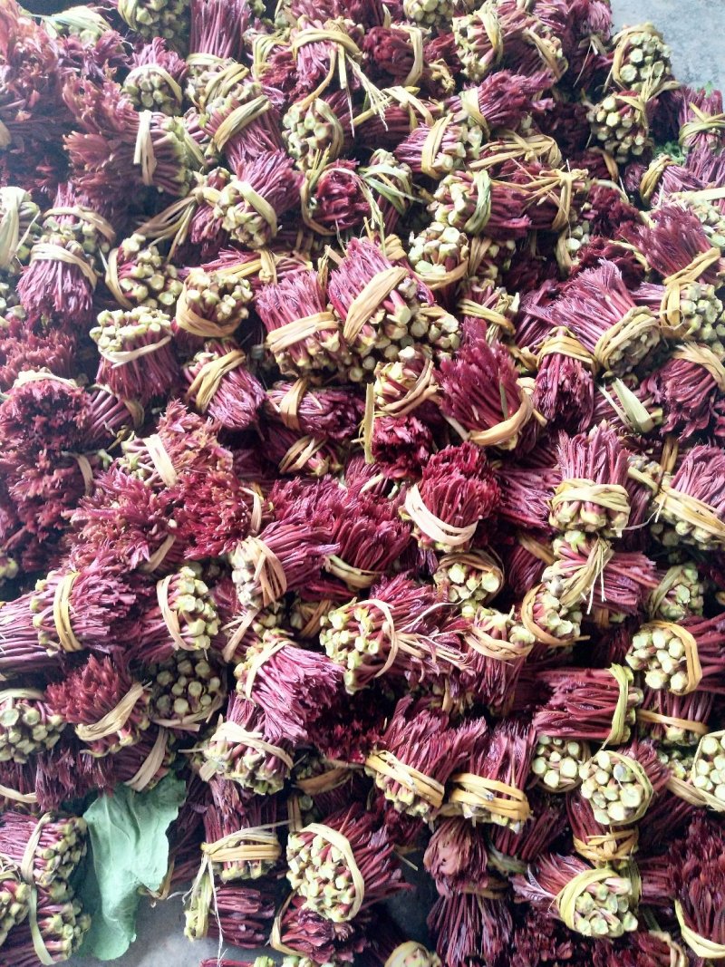 二郎红香椿芽，精品香椿芽，支持电商代发！