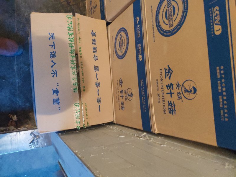女娲A货金针菇特价80/件，40斤净货，，，
