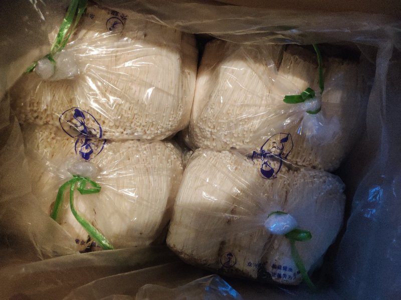 女娲A货金针菇特价80/件，40斤净货，，，