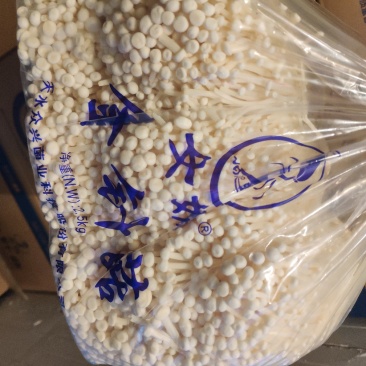 女娲A货金针菇特价80/件，40斤净货，，，