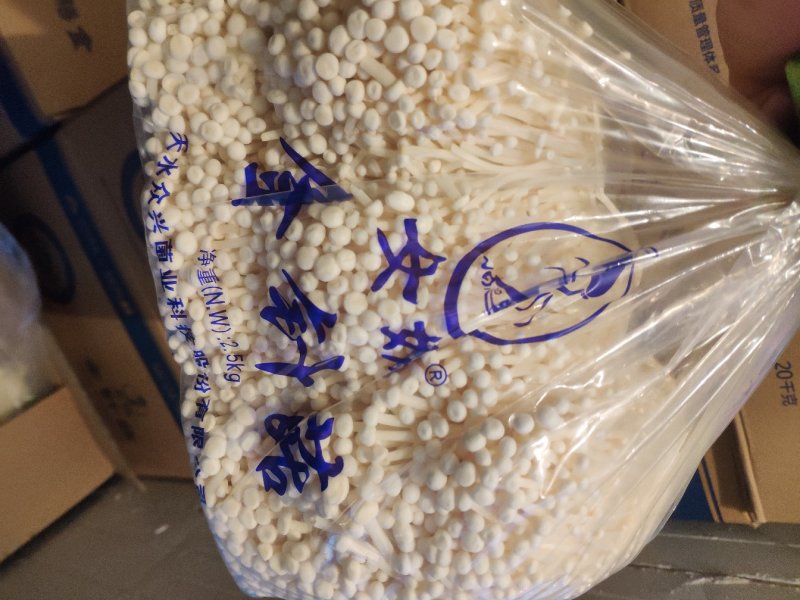 女娲A货金针菇特价80/件，40斤净货，，，