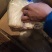 女娲A货金针菇特价80/件，40斤净货，，，