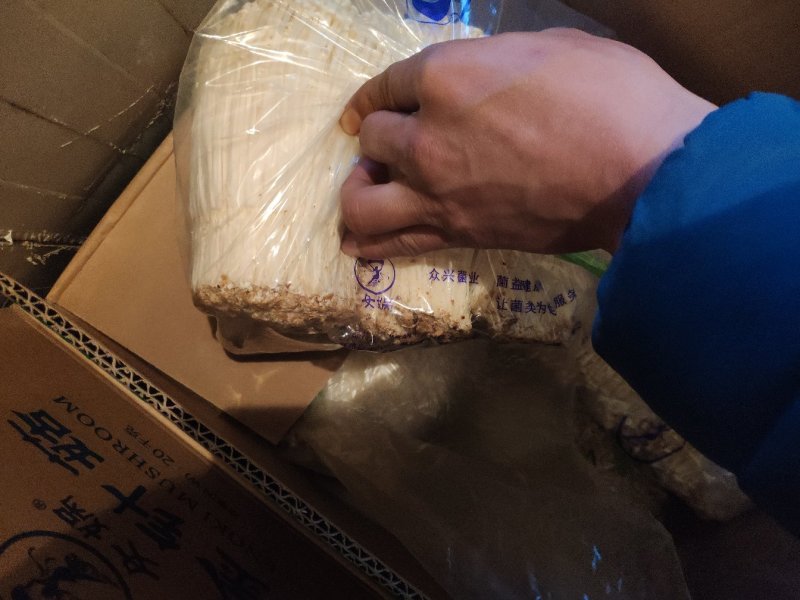 女娲A货金针菇特价80/件，40斤净货，，，