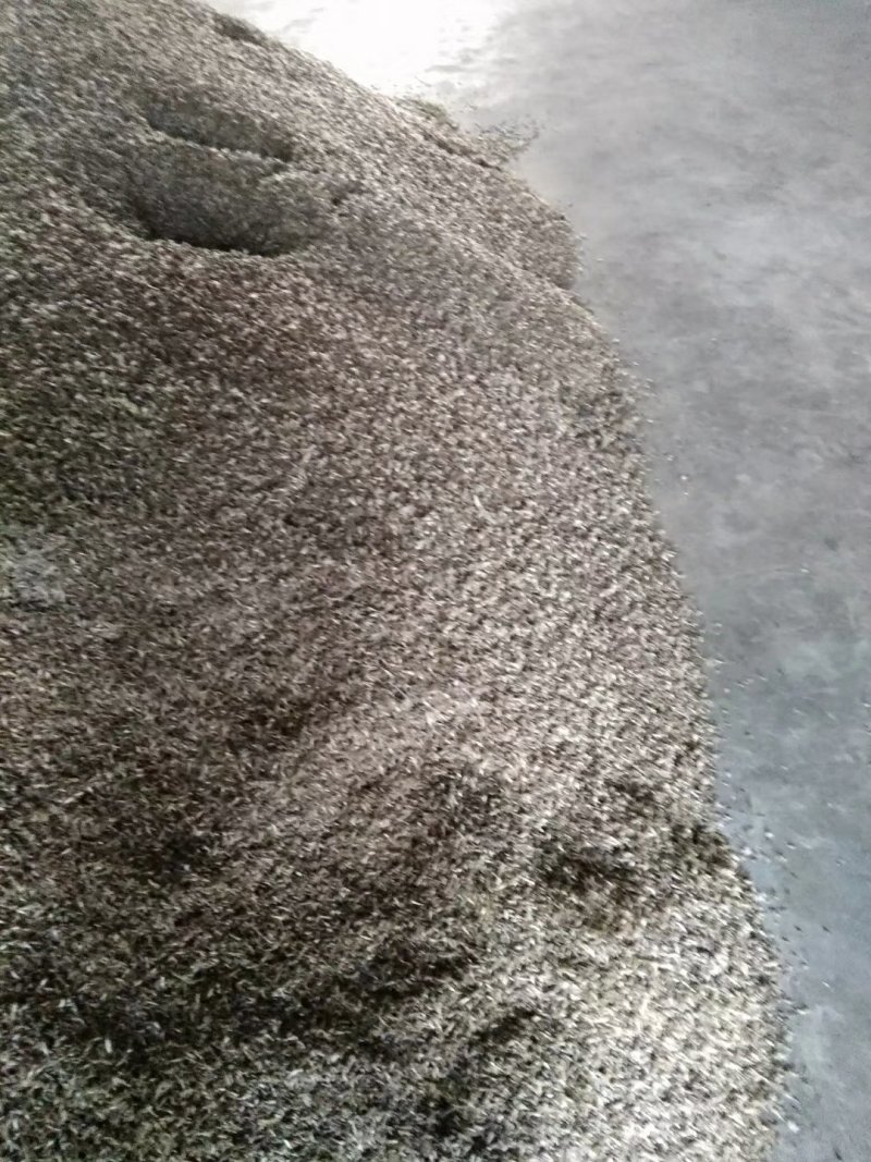 白术一年生种植免费技术指导，包回收成品，