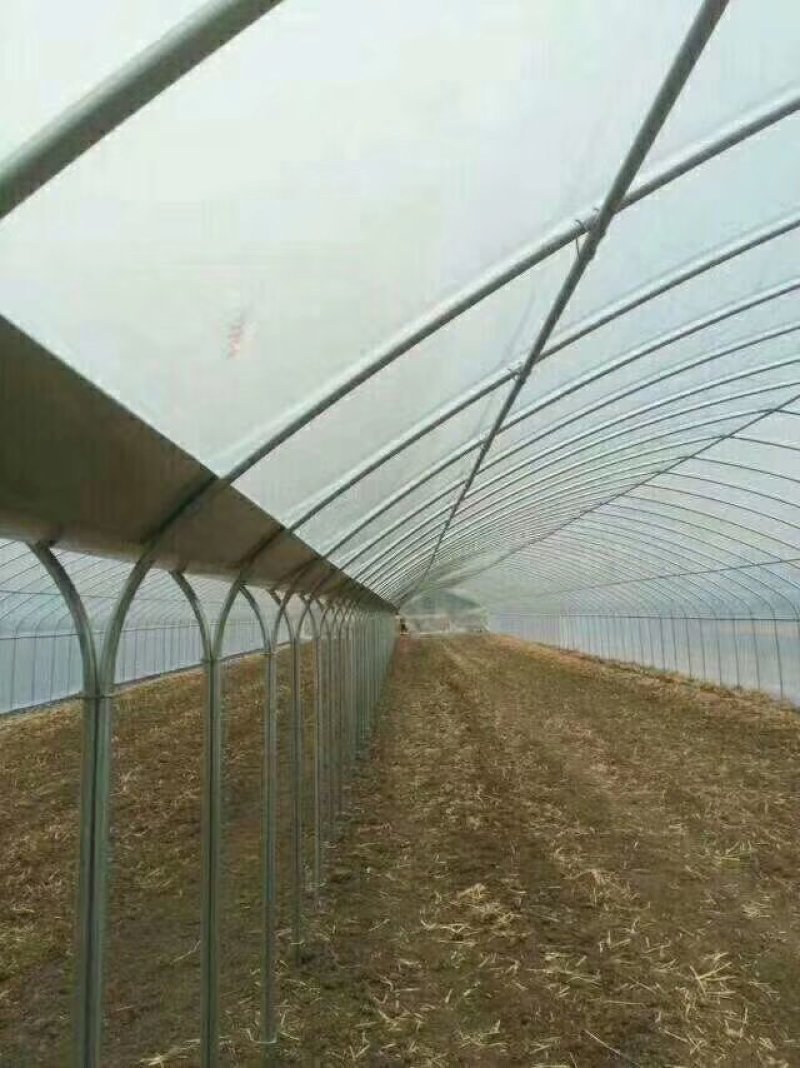 大棚膜地膜规格齐全尺寸可订做