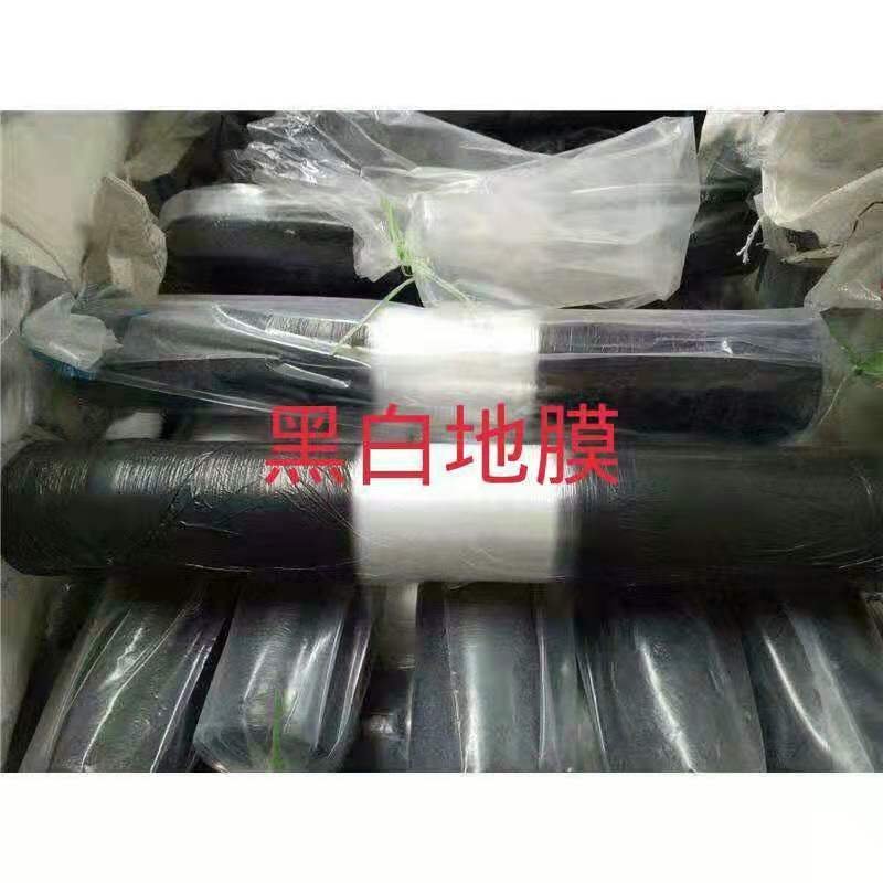 大棚膜地膜规格齐全尺寸可订做