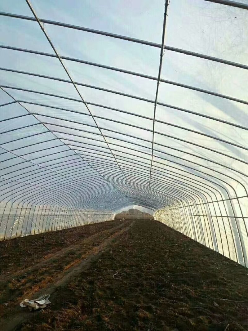 大棚膜地膜规格齐全尺寸可订做