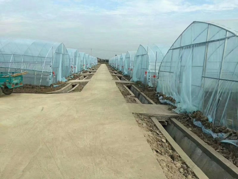 大棚膜地膜规格齐全尺寸可订做