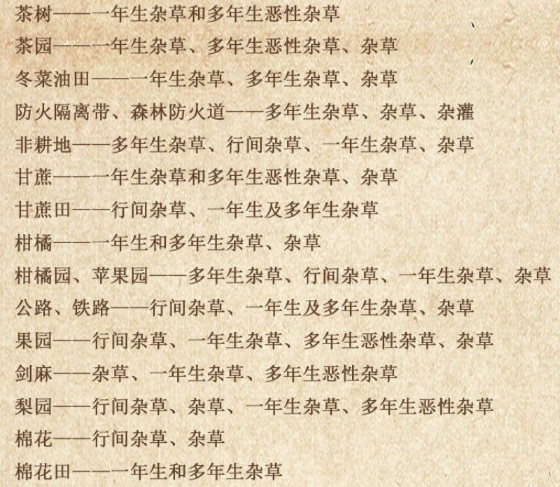 默锄62%麦草甘膦三氯吡氧乙酸果园荒地灭生性烂根除草剂