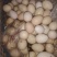 柴鸡蛋，纯柴鸡蛋，