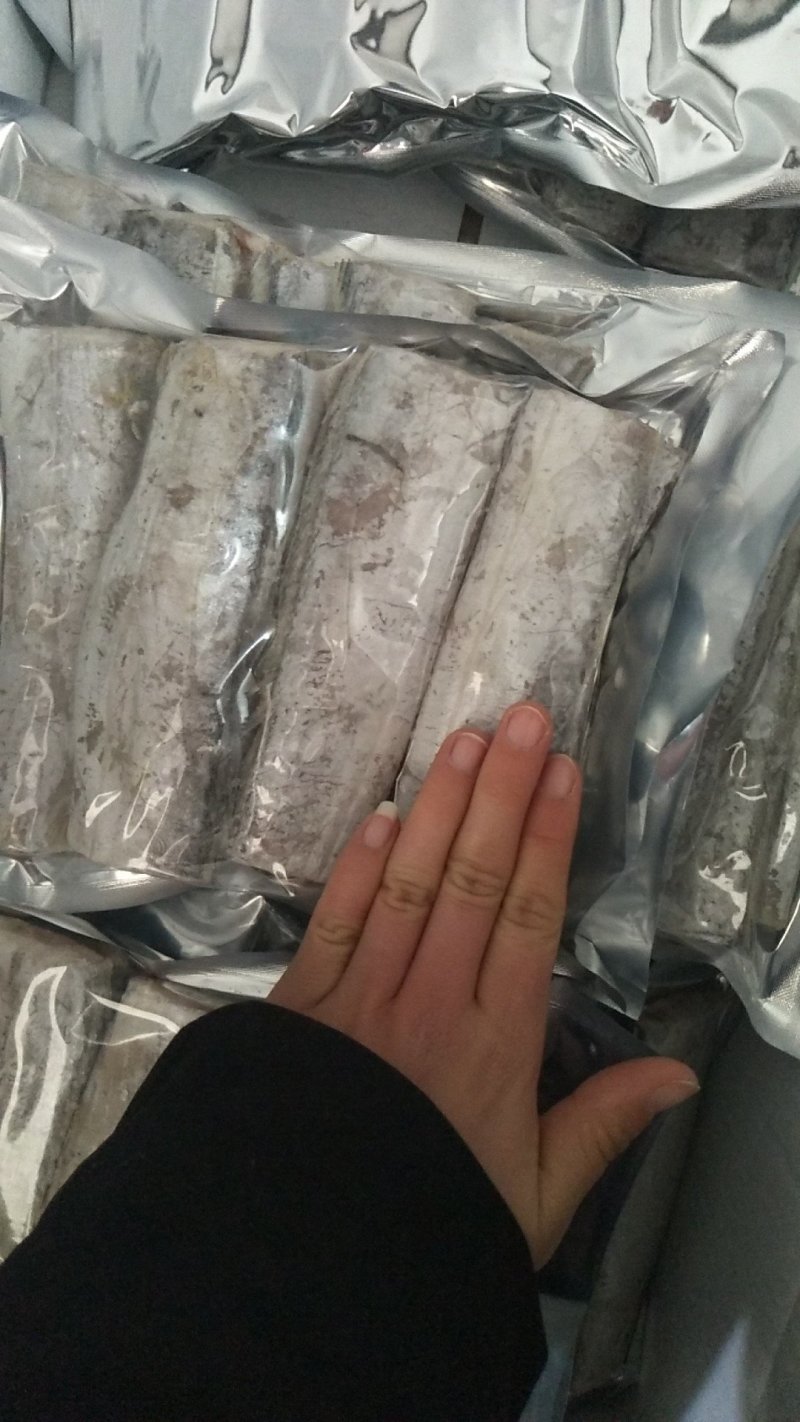 精品带鱼段