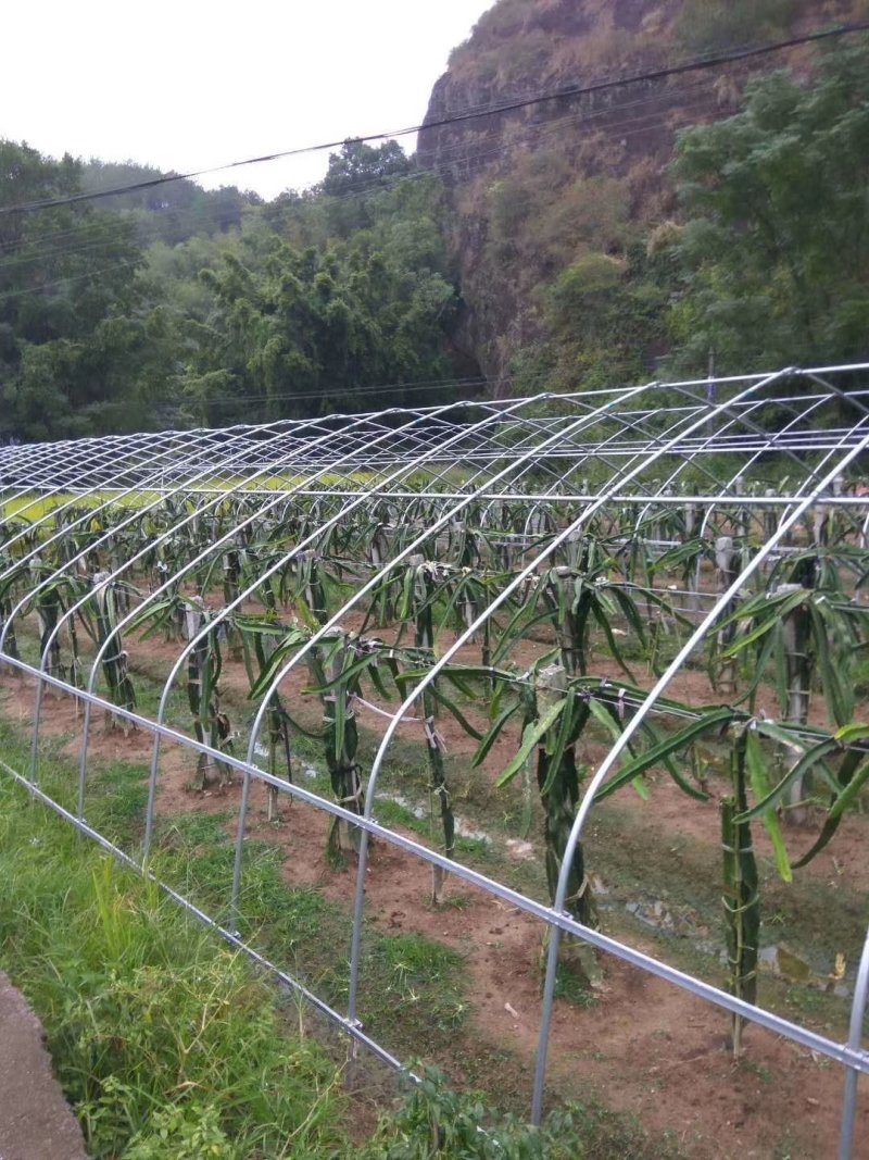 大棚骨架镀锌大棚管大棚杆蔬菜大棚连栋大棚