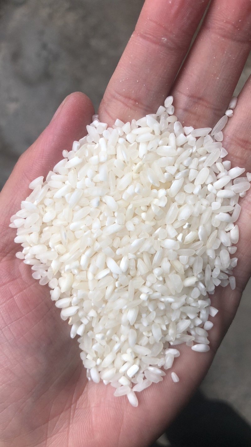 重庆大米厂家，各种品质价位均有，寻找批发商进行合作开拓市