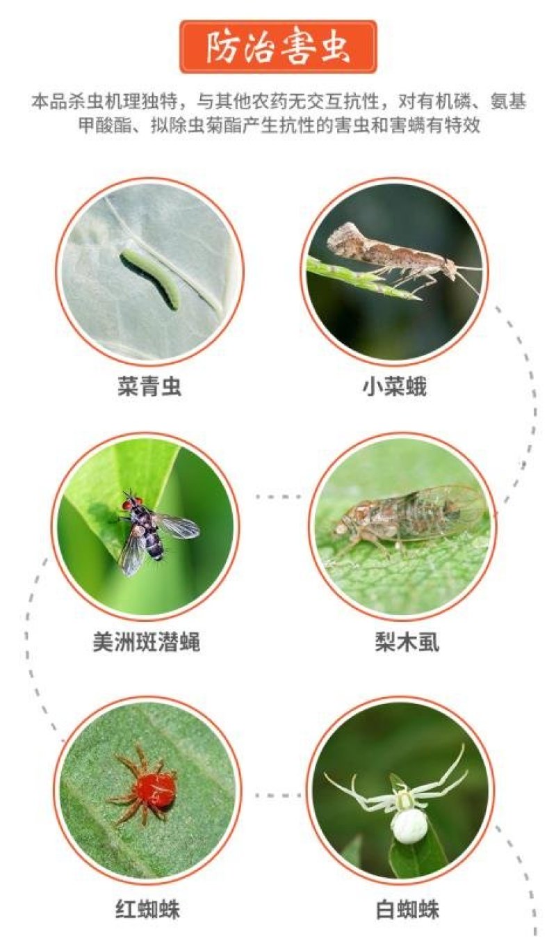 沪联强维丁阿维菌素5%稻纵卷叶螟杀虫剂农药