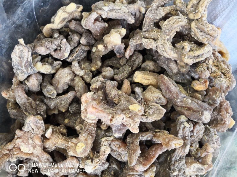 黄精干货个子2斤起包邮量大从优
