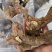 黄精干货个子2斤起包邮量大从优