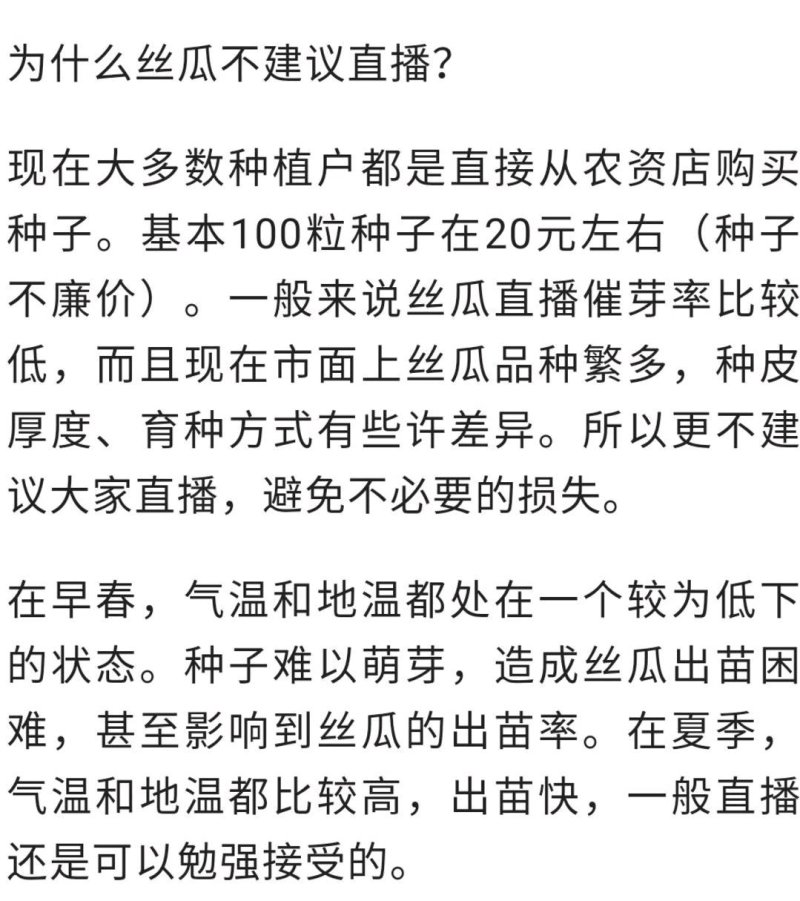宁香208宁香406香丝瓜种子口感好品质味甜
