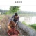 小龙虾