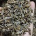 白术种子98%以上