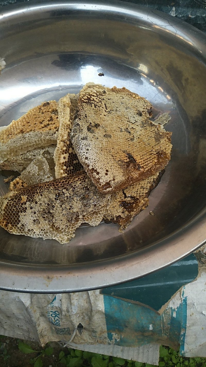 需要野生蜂蜜的老板可以联系了哦有货了☺️☺️