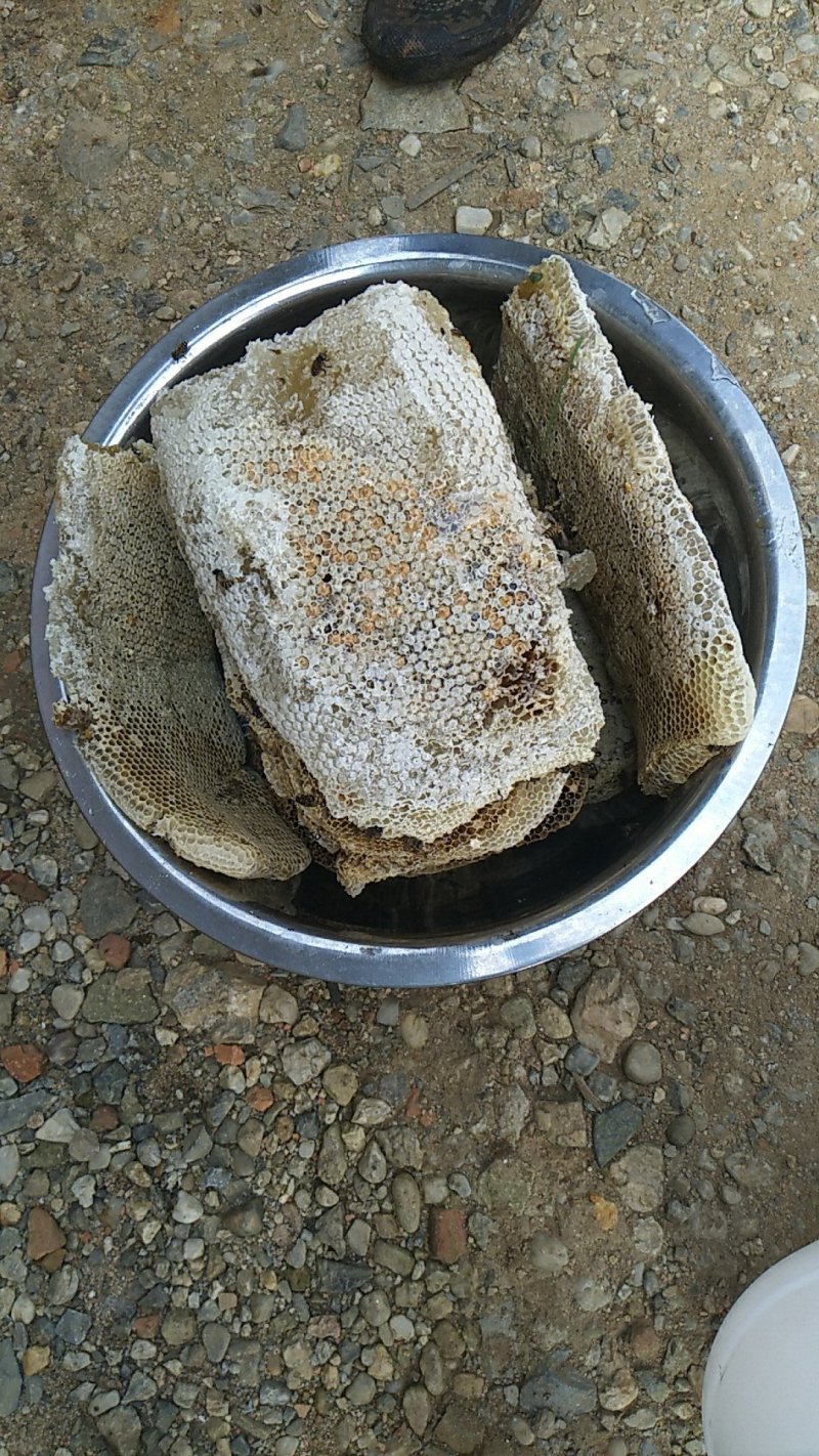 需要野生蜂蜜的老板可以联系了哦有货了☺️☺️