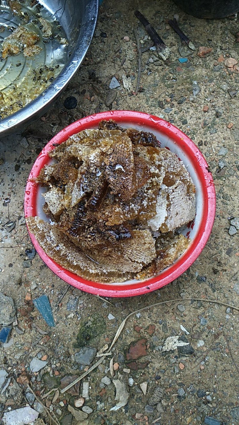 需要野生蜂蜜的老板可以联系了哦有货了☺️☺️