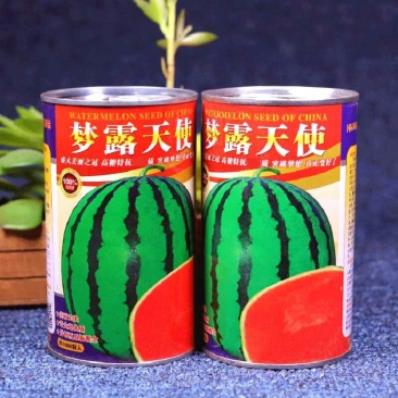梦露天使高产西瓜种子耐重茬抗旱耐湿耐低温抗病性强