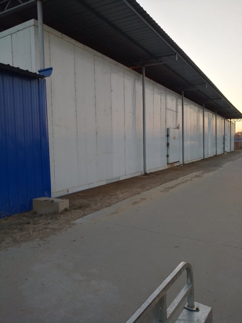 章丘鲍芹芹菜诚信经营，质量保证对接全国电商批发商市场