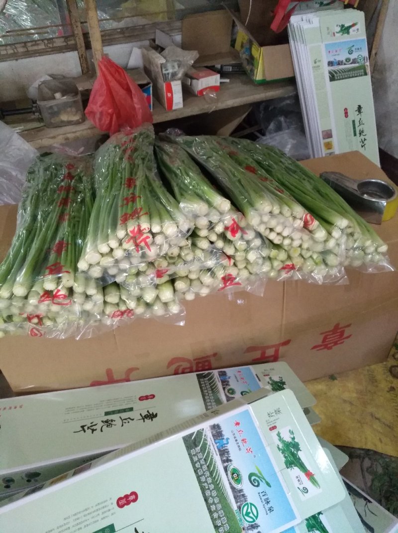 章丘鲍芹芹菜诚信经营，质量保证对接全国电商批发商市场