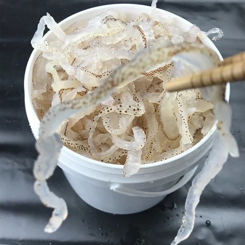 精品海蜇丝5斤装，一件代发，支持线上交易