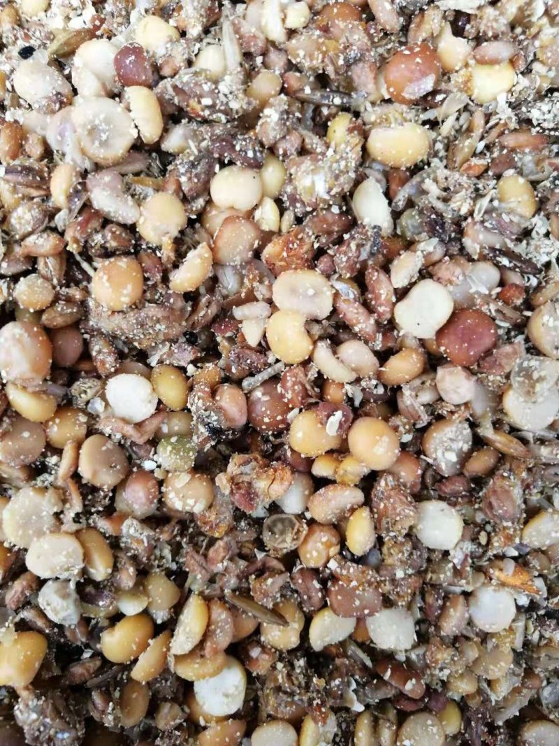 发酵大豆，大豆灵芝肥。