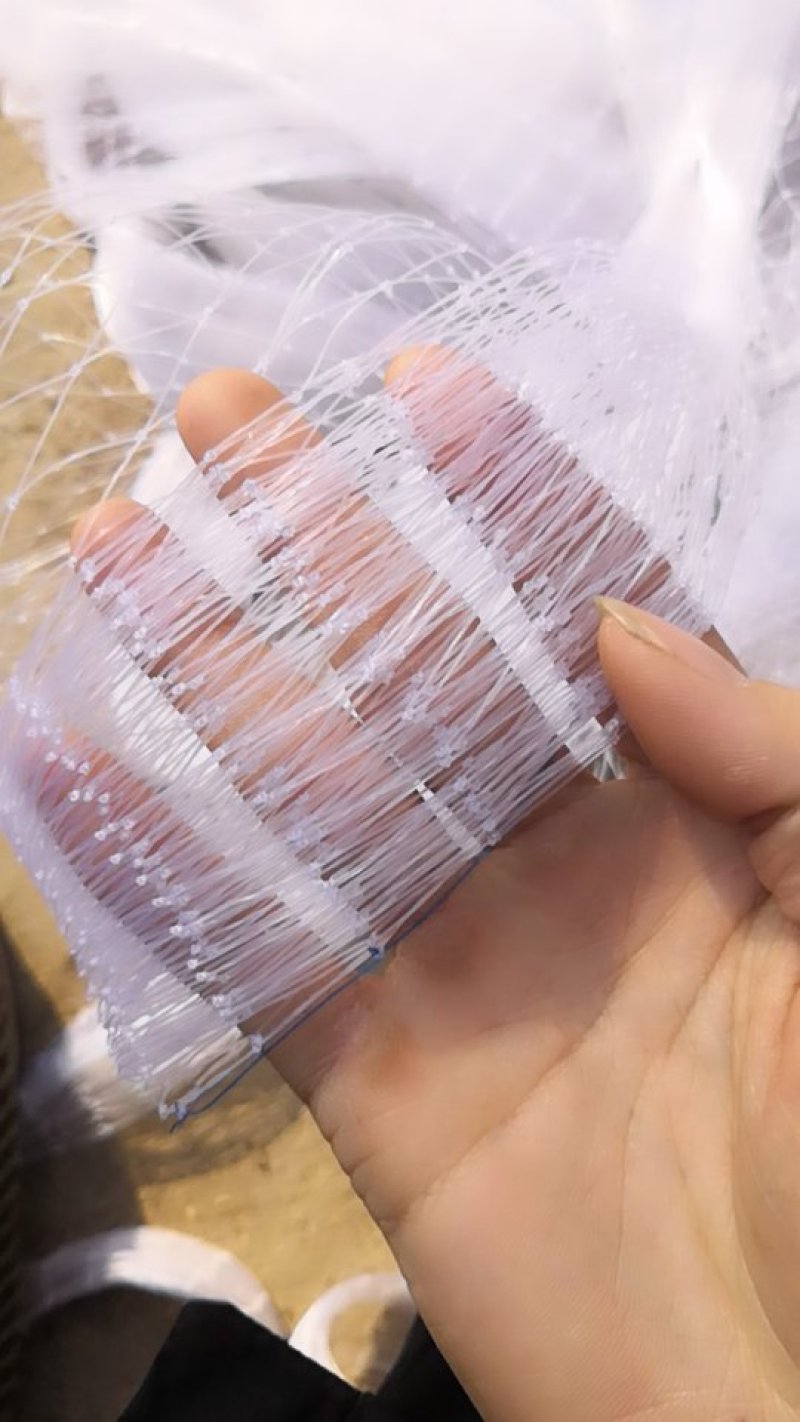 防鸟网尼龙线防鸟网果园防鸟专用