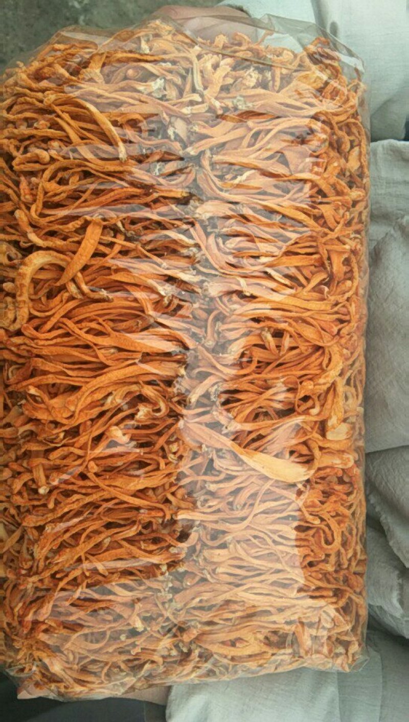 【排草中粗条】【李大人村】产地批发东北土特产，虫草花干