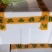 精品西葫芦大量上市中西葫瓜山东聊城油绿西葫芦
