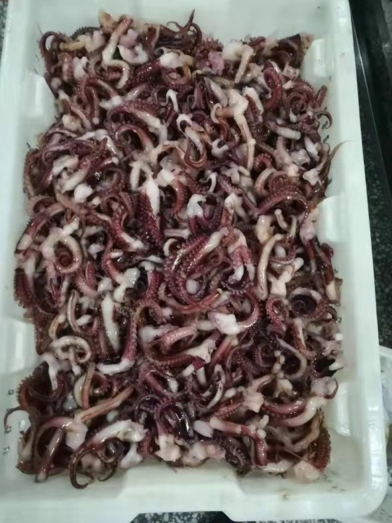 鱿鱼须