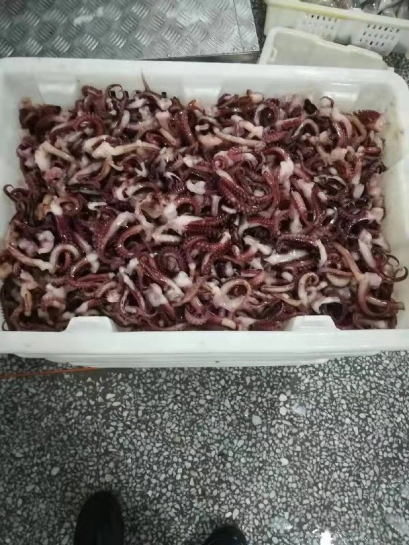 鱿鱼须