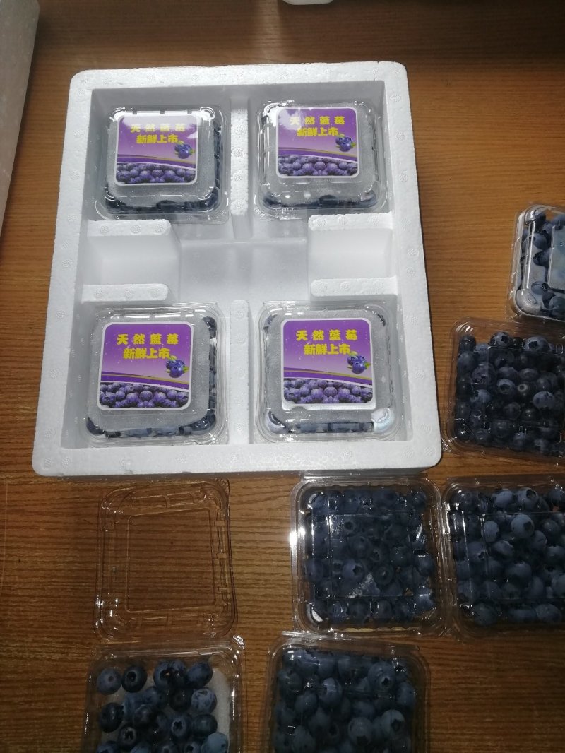 蓝莓