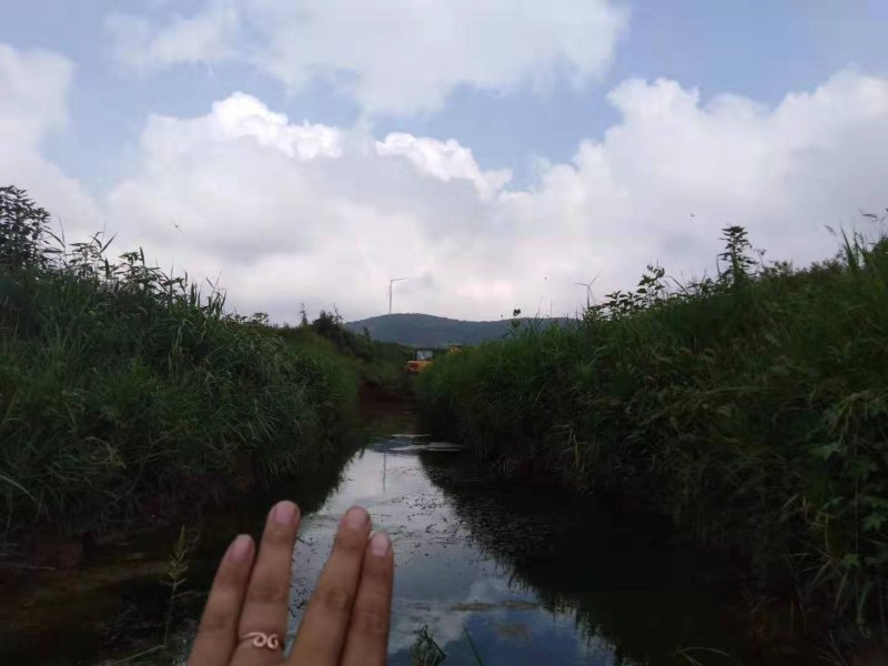 即墨海边土地出租