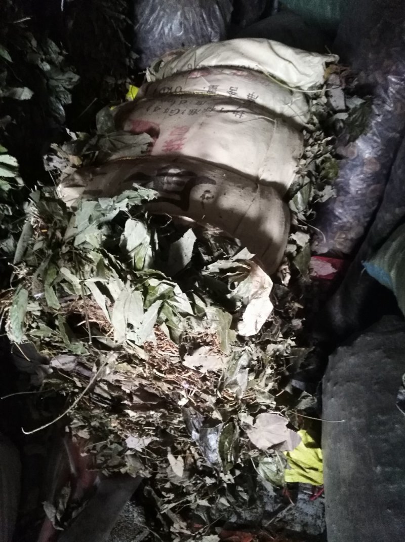 淫羊藿不带头统纯含量高