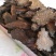 一件代发阿拉善肉苁蓉油苁蓉切片药食同源养生泡酒料