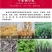 小型铡草机