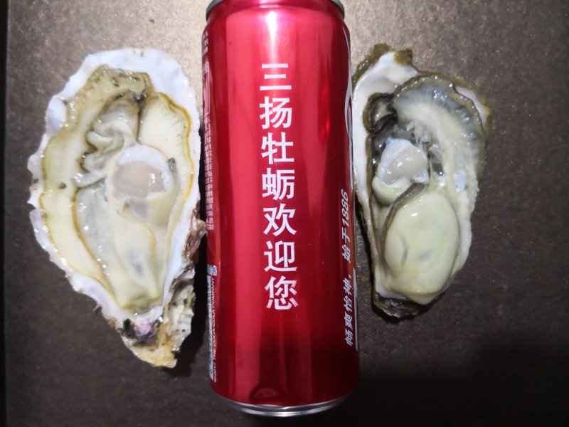 精品生蚝薄壳三倍体，乳山产地养殖场直供，高压锅生蚝烧烤蚝
